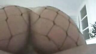 Fishnet Vixen Drilled and Covered